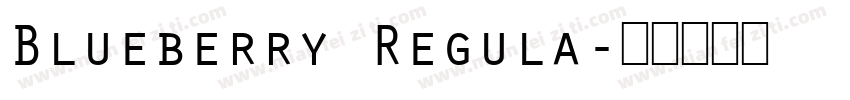 Blueberry Regula字体转换